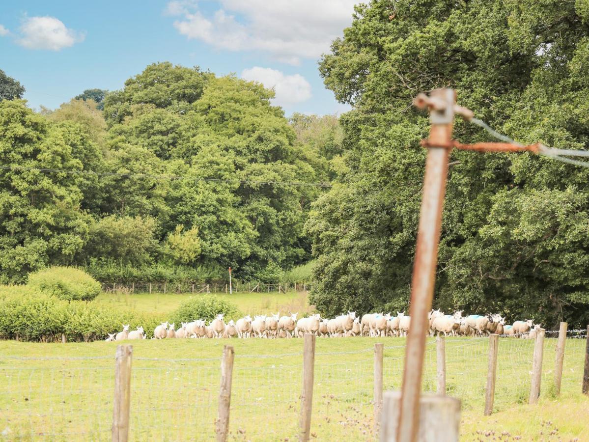 Holly Farm Cottage Newbridge on Wye エクステリア 写真